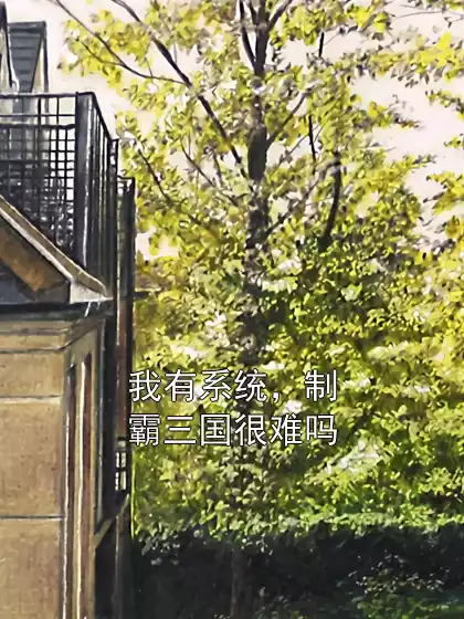 我有系统，制霸三国很难吗小说