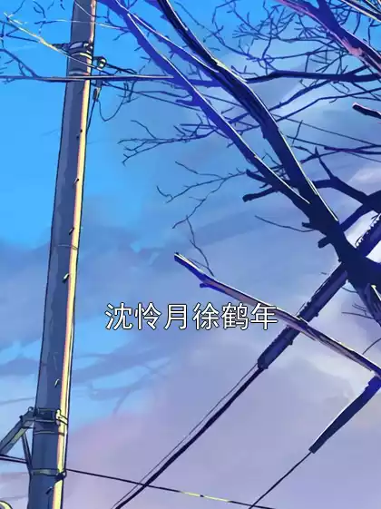 沈怜月徐鹤年