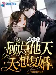 离婚后顾总他天天想复婚小说