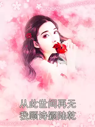 从此世间再无我顾诗颖陆乾小说