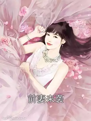 前妻来袭