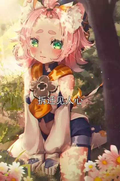 拆迁见人心小说