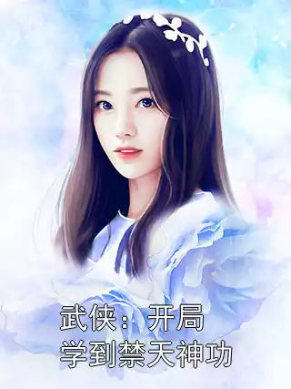 武侠：开局学到禁天神功
