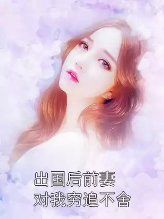 出国后前妻对我穷追不舍