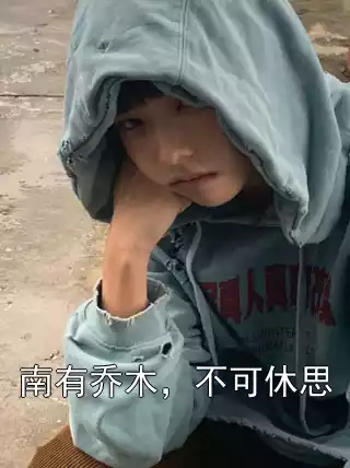 南有乔木，不可休思