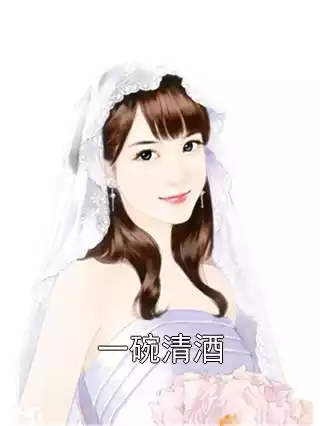 一碗清酒小说