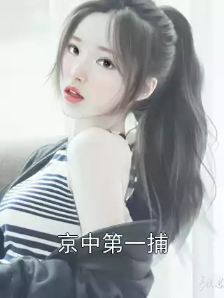 京中第一捕小说