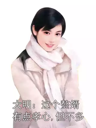 大明：这个赘婿有点孝心,但不多小说