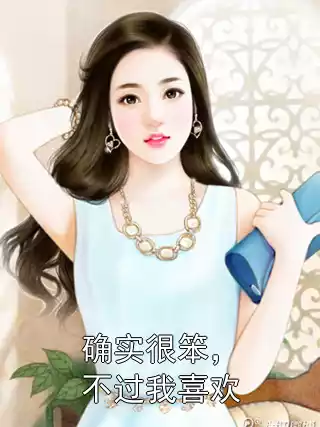 确实很笨，不过我喜欢小说
