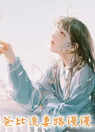 爸比追妻路漫漫小说
