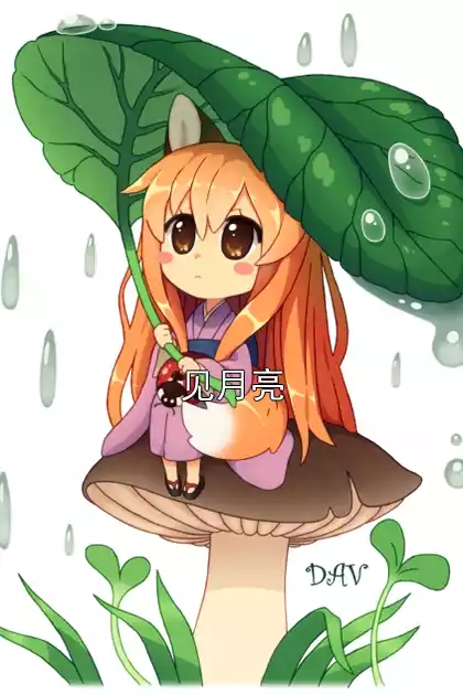 见月亮小说