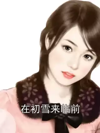 在初雪来临前小说