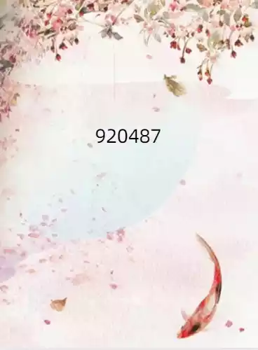 920487小说