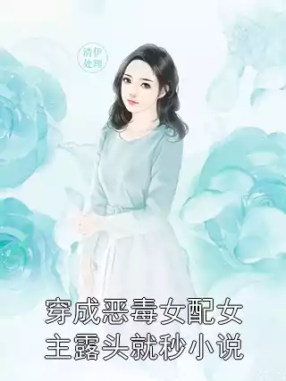 穿成恶毒女配女主露头就秒小说