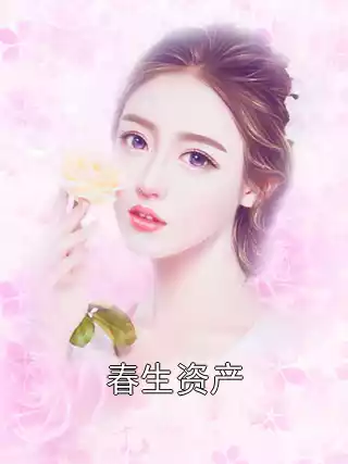 春生资产小说