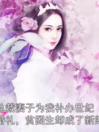 总裁妻子为我补办世纪婚礼，贫困生却成了新郎小说