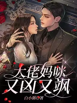 大佬妈咪又凶又飒小说