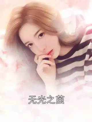 无光之茧小说
