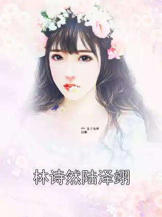 林诗然陆泽翊小说