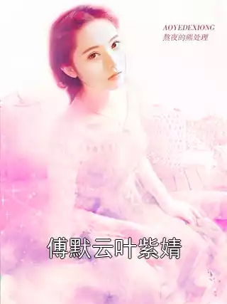 傅默云叶紫婧小说