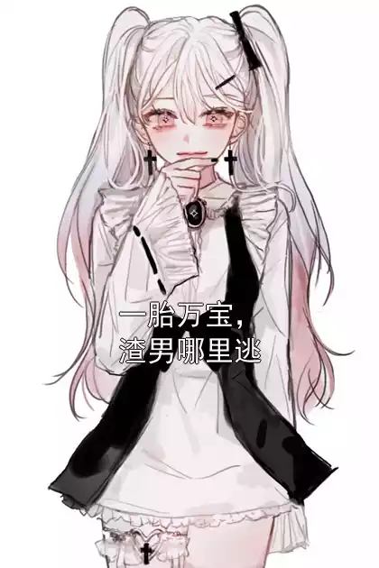 一胎万宝，渣男哪里逃小说