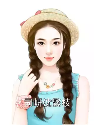 司岍沈繁枝小说