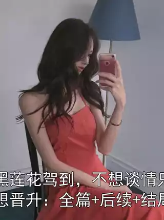 黑莲花驾到，不想谈情只想晋升：全篇+后续+结局
