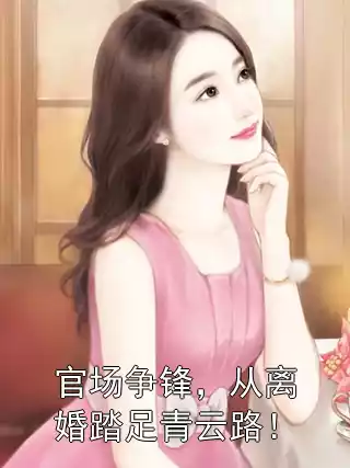 官场争锋，从离婚踏足青云路！