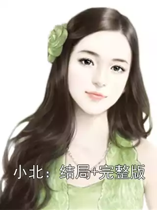 小北：结局+完整版