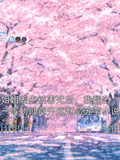 姐姐差点被害死后，我翻出一等功勋章齐远赵念苏莹小说