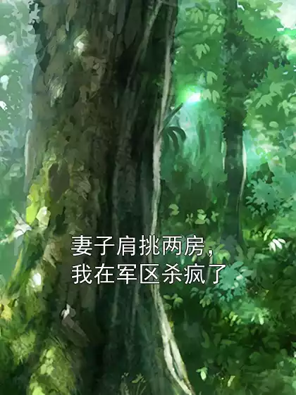 妻子肩挑两房，我在军区杀疯了