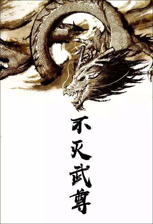 不灭武尊