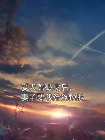 爱犬蹭破皮后，妻子要我给狗换肤小说
