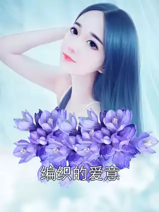 编织的爱意小说