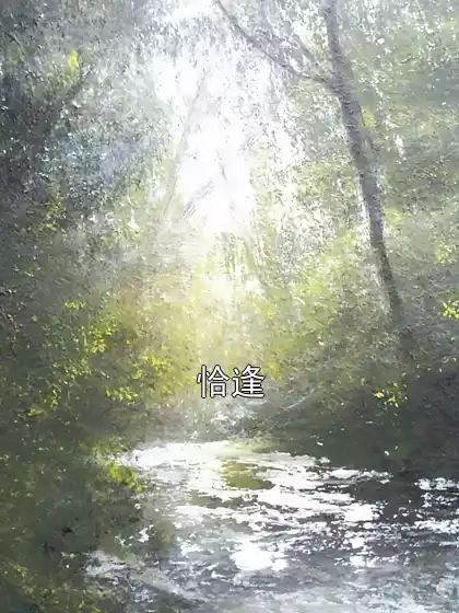 恰逢小说