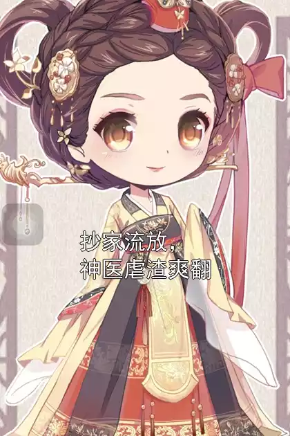 抄家流放，神医虐渣爽翻小说
