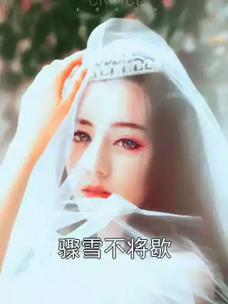 骤雪不将歇