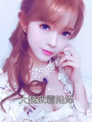 大魏武霸陆泽小说