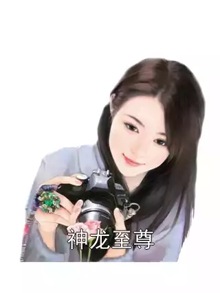神龙至尊