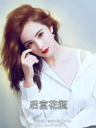 后宫花瓶