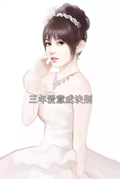 三年爱意成诀别小说