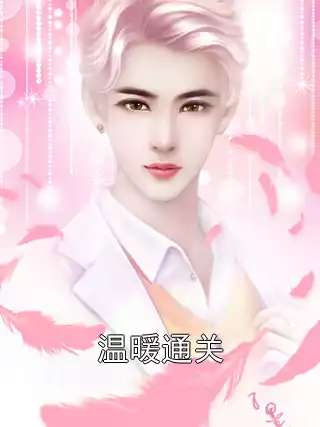 温暖通关小说